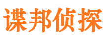 太和市私人侦探